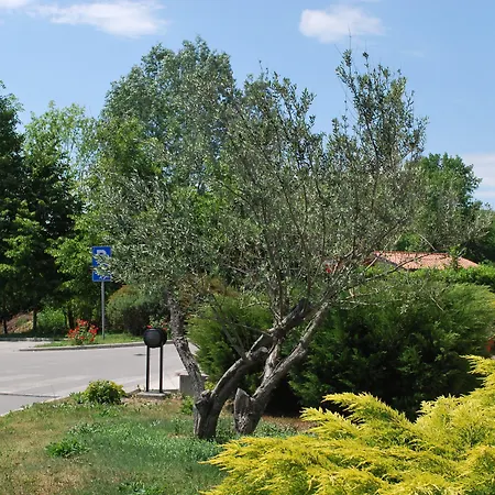 Kogoj ベッド・アンド・ブレックファスト 3*