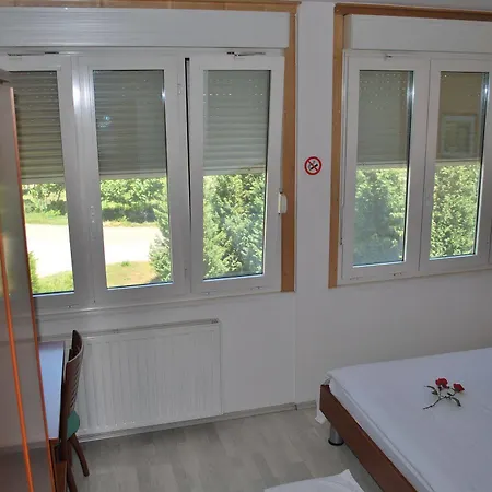 Kogoj Nova Gorica