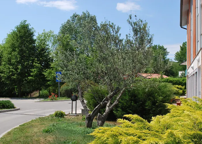 Kogoj Oda ve Kahvaltı 3*